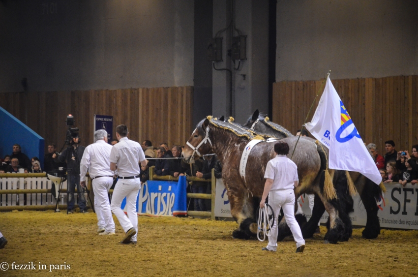 It took six guys to keep these massive horses (barely) under control.