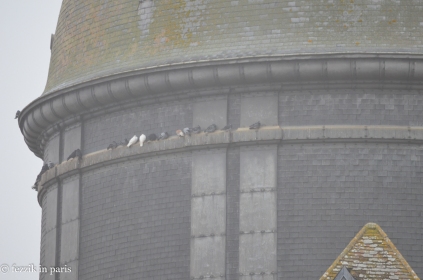 Taken from one of the upper levels of the tower, I felt these pigeons' pain.
